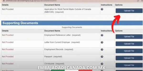 08. Documentos necesarios para tu aplicación de visa Canadá
